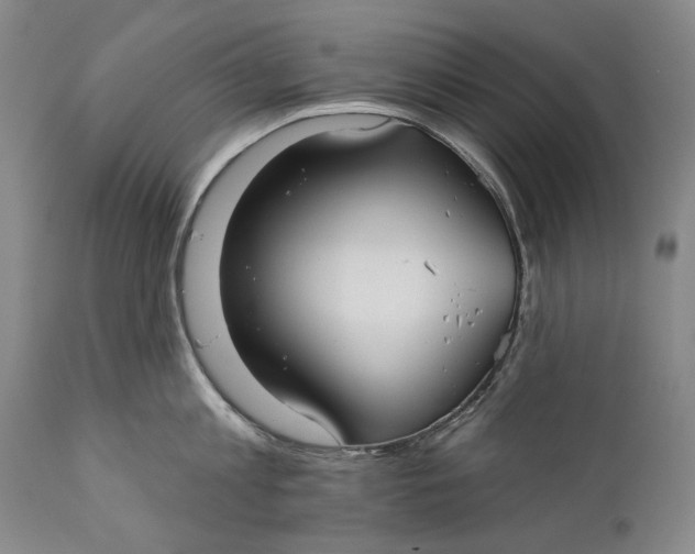 X0000111670813200908071456