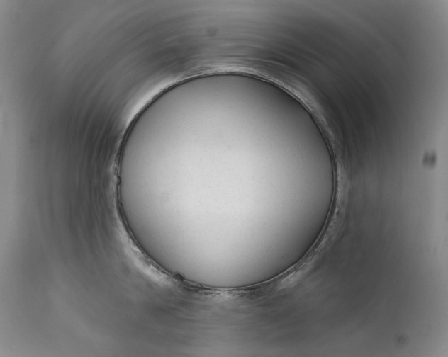 X0000111670814200908071456