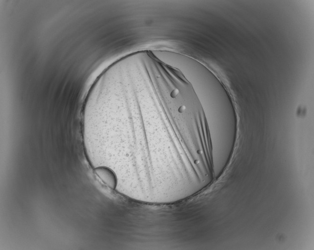 X0000111670816200908071456