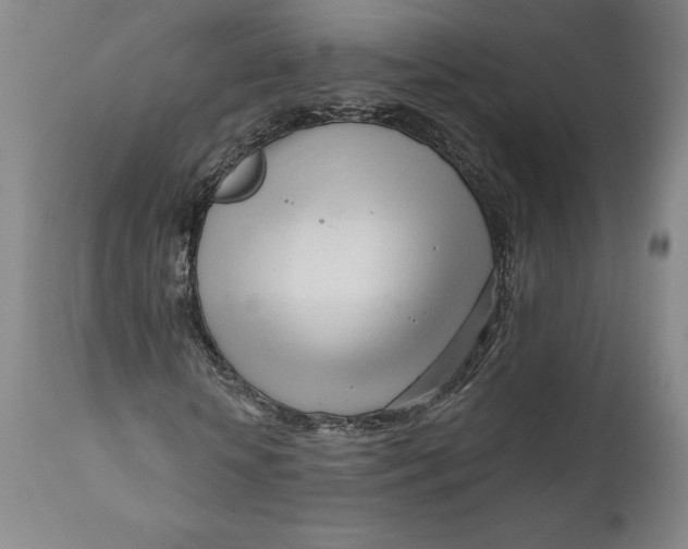 X0000111670818200908071455