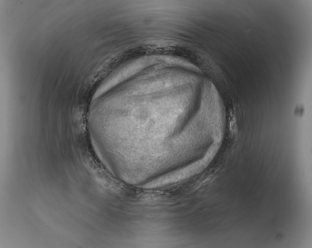 X0000111670819200908071455