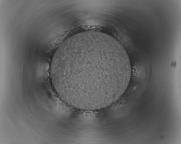 X0000111670820200908071455