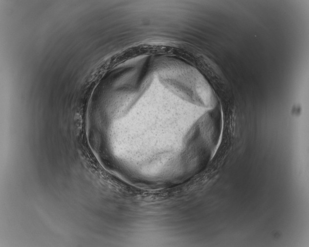 X0000111670821200908071455