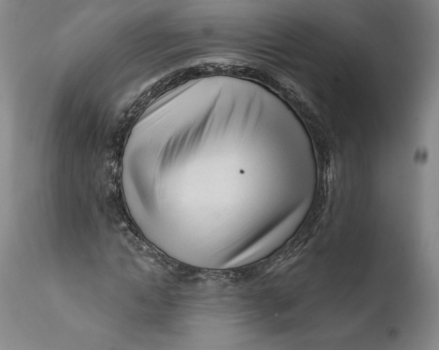 X0000111670822200908071455