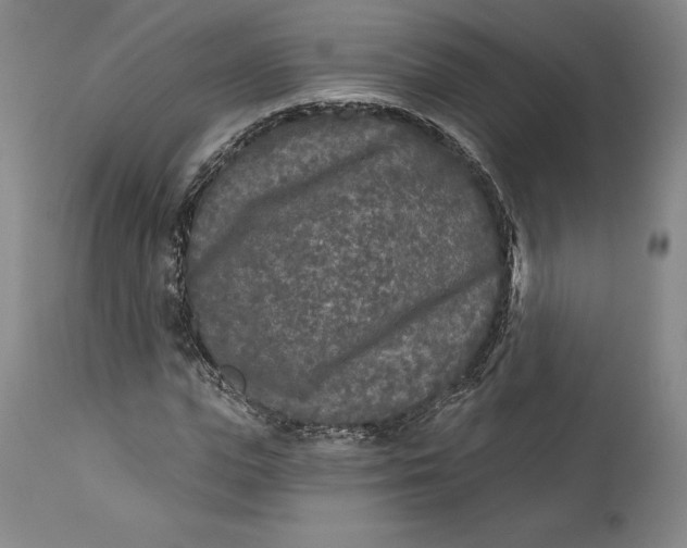 X0000111670823200908071455