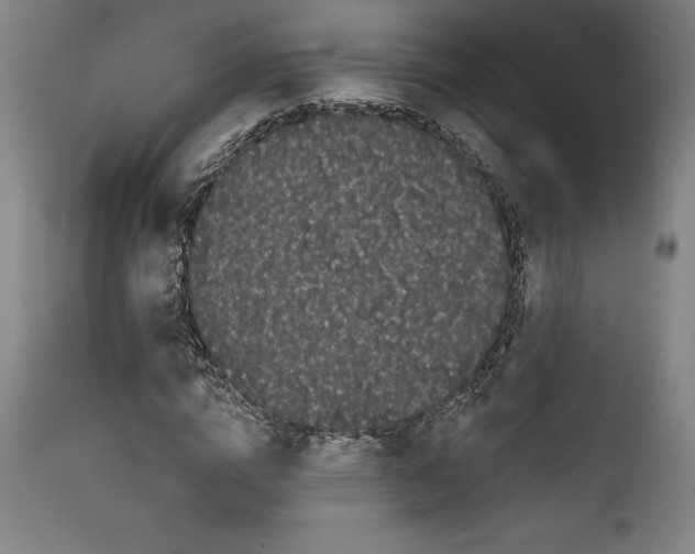 X0000111670824200908071455