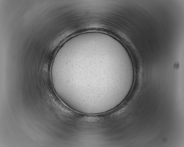 X0000111670825200908071455