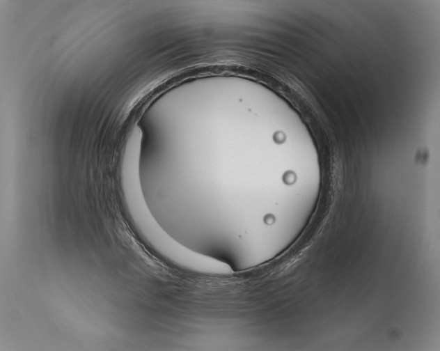 X0000111670826200908071455