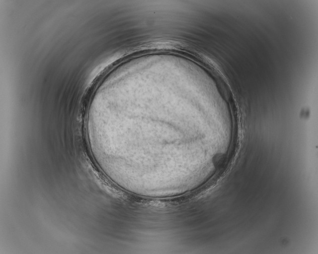 X0000111670827200908071455