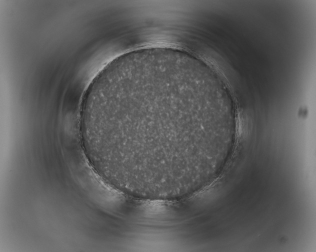 X0000111670828200908071455