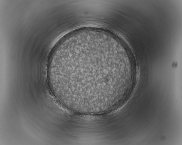 X0000111670829200908071455