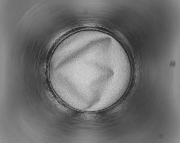 X0000111670831200908071455