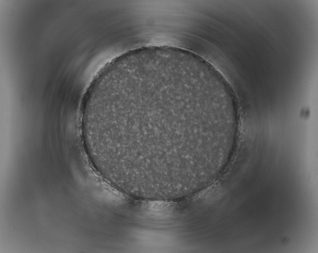 X0000111670832200908071455