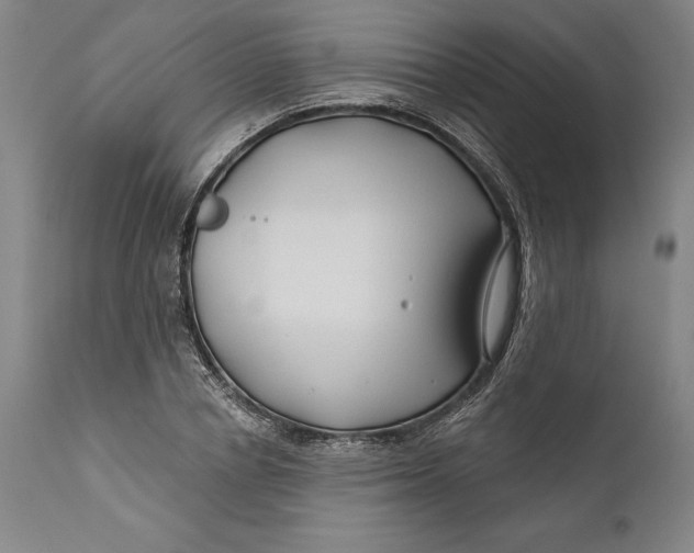 X0000111670834200908071455