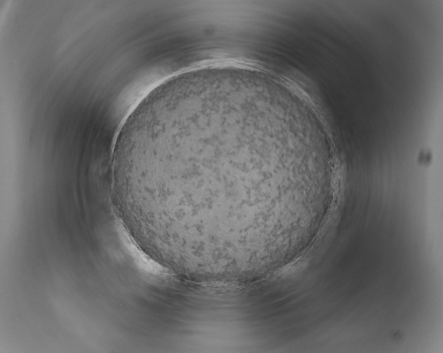 X0000111670836200908071455