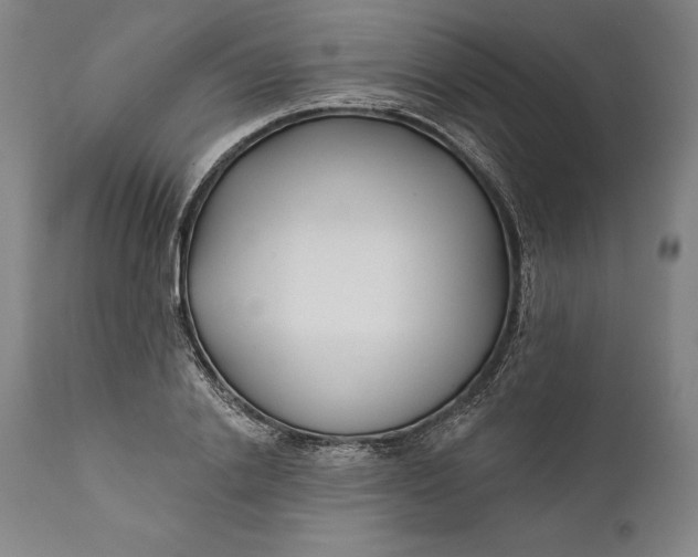 X0000111670838200908071455