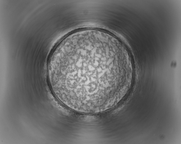 X0000111670839200908071455