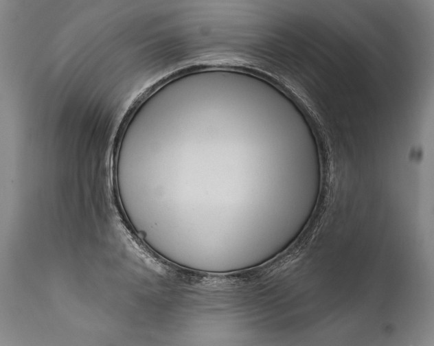 X0000111670840200908071455