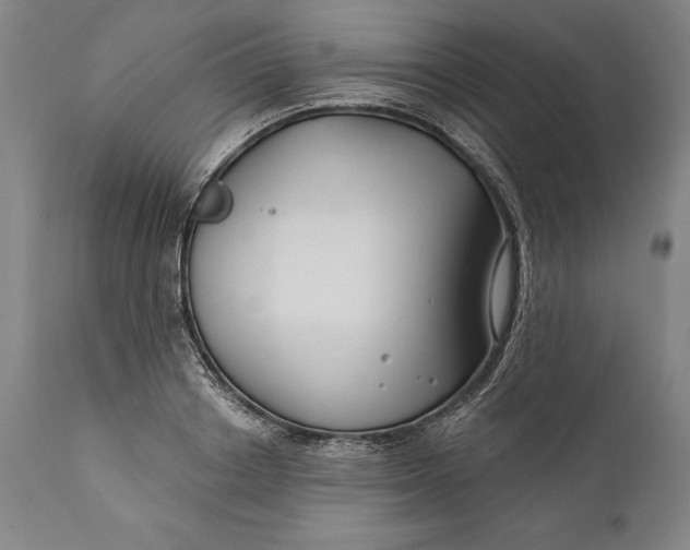 X0000111670842200908071455