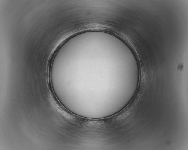 X0000111670843200908071455