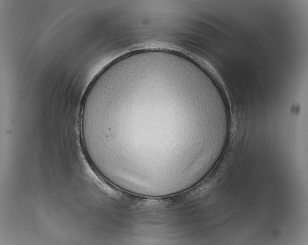 X0000111670847200908071455