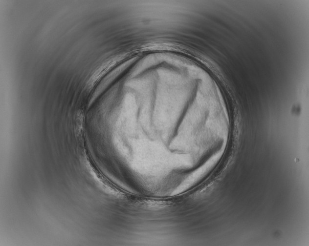 X0000111670849200908071455