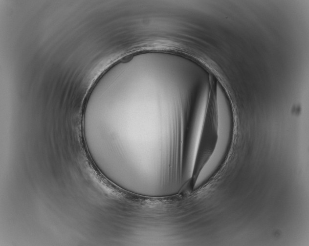 X0000111670850200908071455