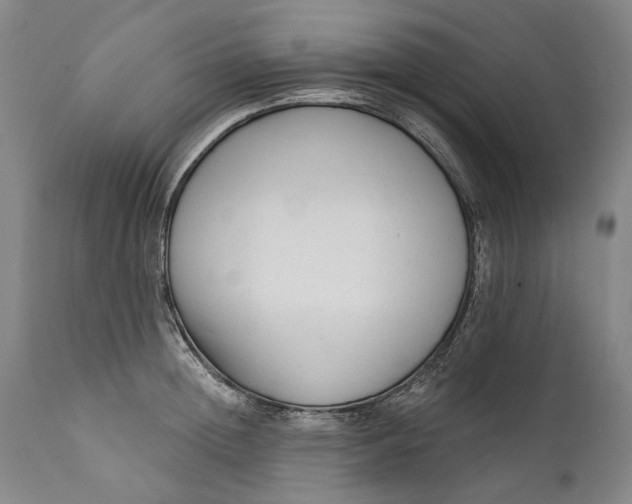 X0000111670852200908071455