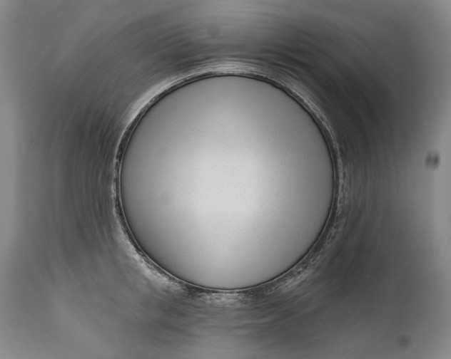 X0000111670853200908071455