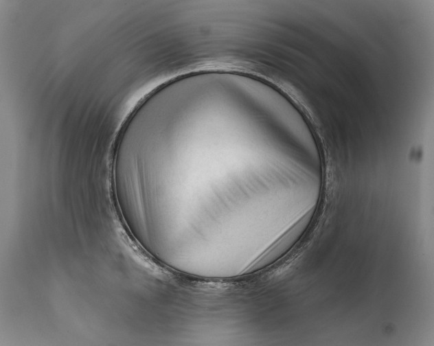 X0000111670854200908071455