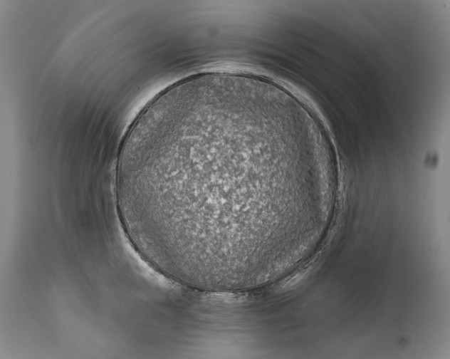 X0000111670855200908071455