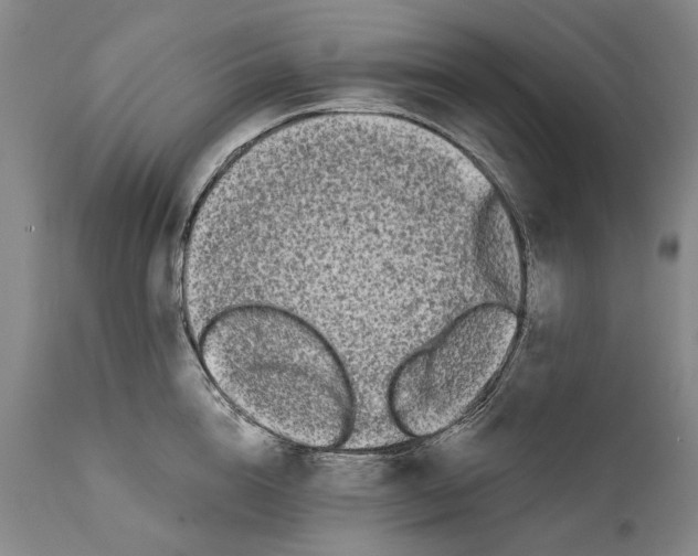 X0000111670856200908071455