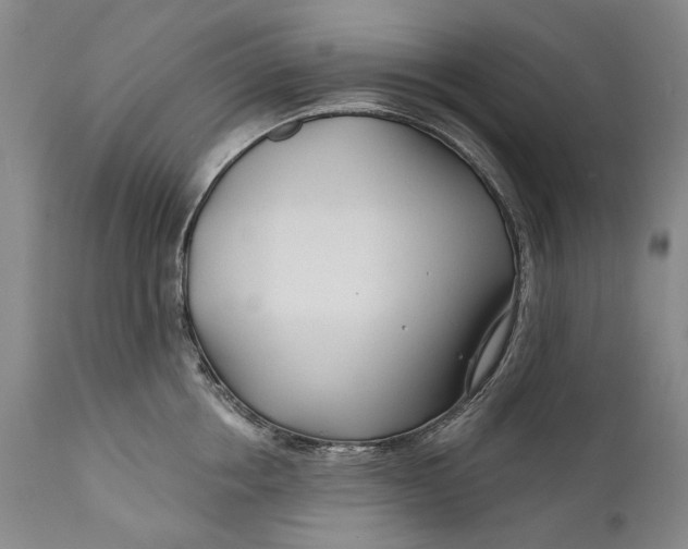 X0000111670858200908071455