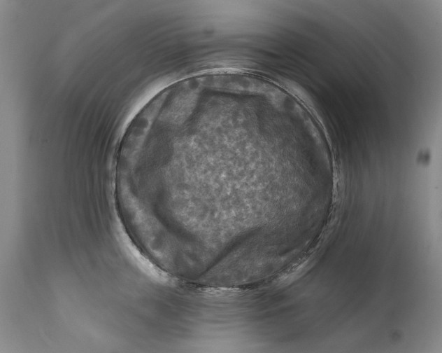 X0000111670859200908071455