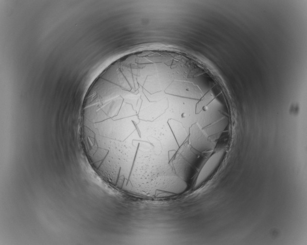 X0000111670860200908071455