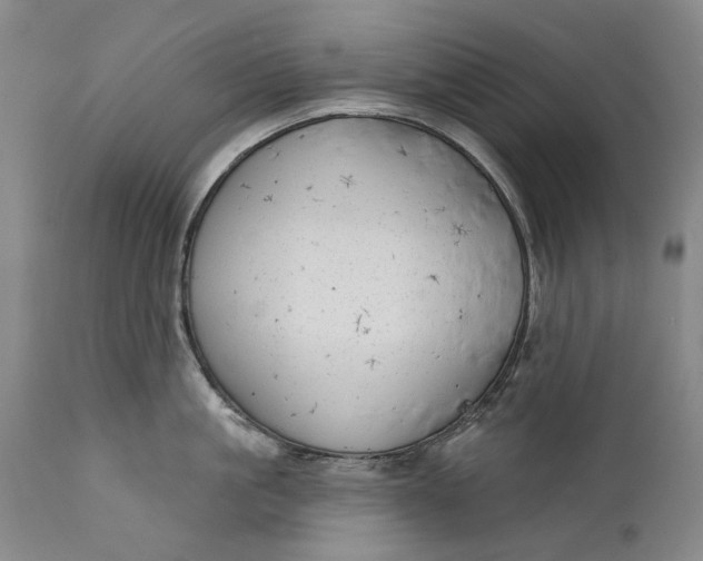 X0000111670861200908071455