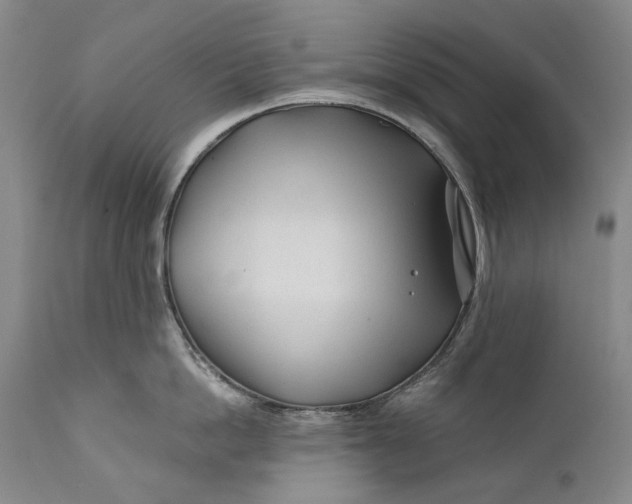 X0000111670862200908071456