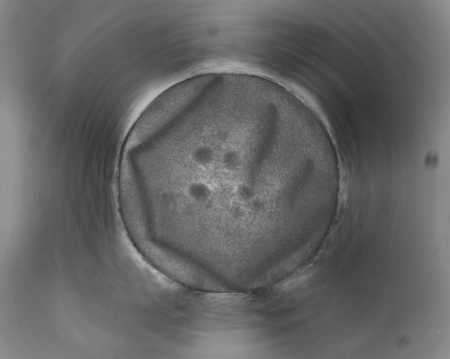 X0000111670863200908071456