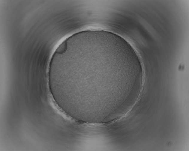 X0000111670864200908071456