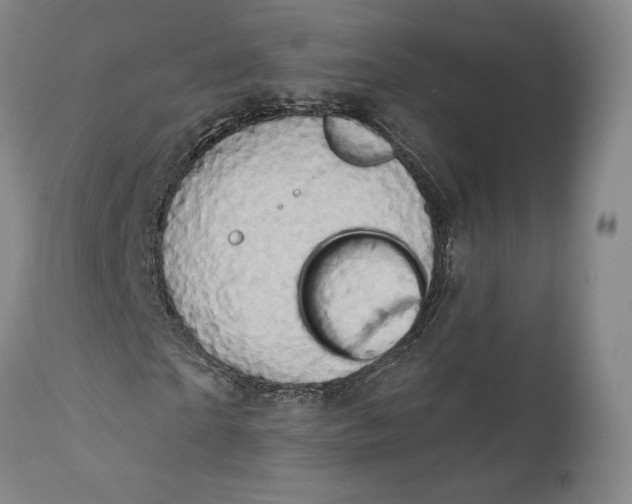 X0000111670865200908071455