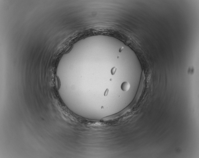 X0000111670868200908071455