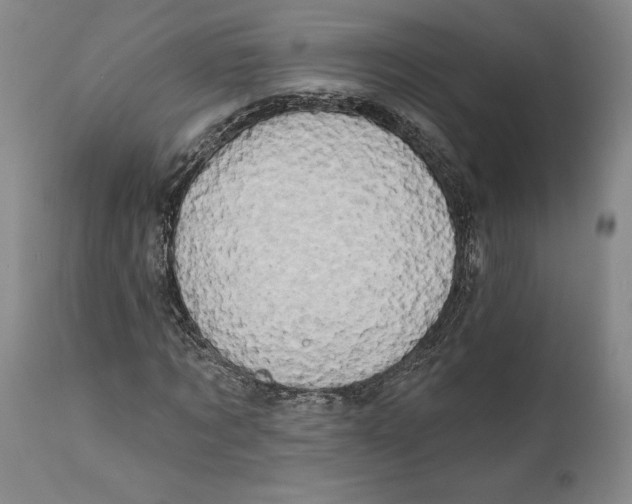 X0000111670869200908071455