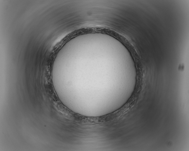 X0000111670871200908071455