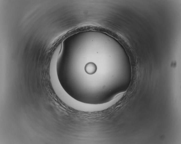 X0000111670872200908071455