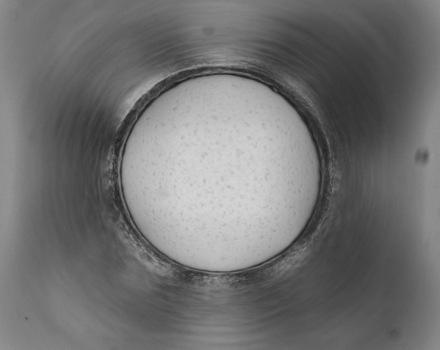 X0000111670875200908071455