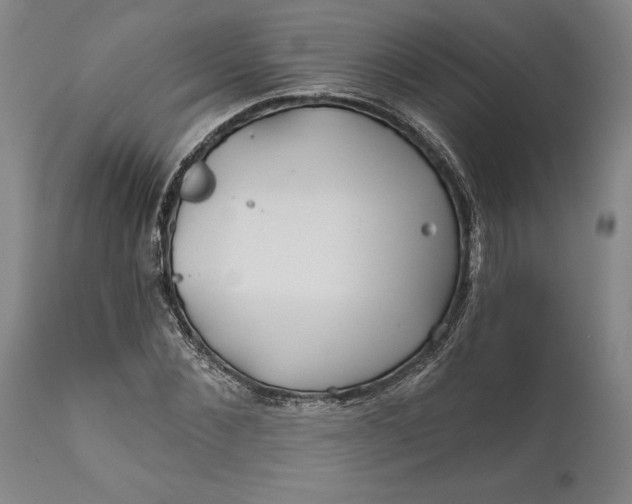 X0000111670876200908071455