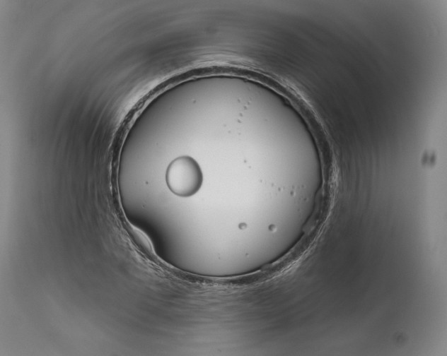 X0000111670877200908071455