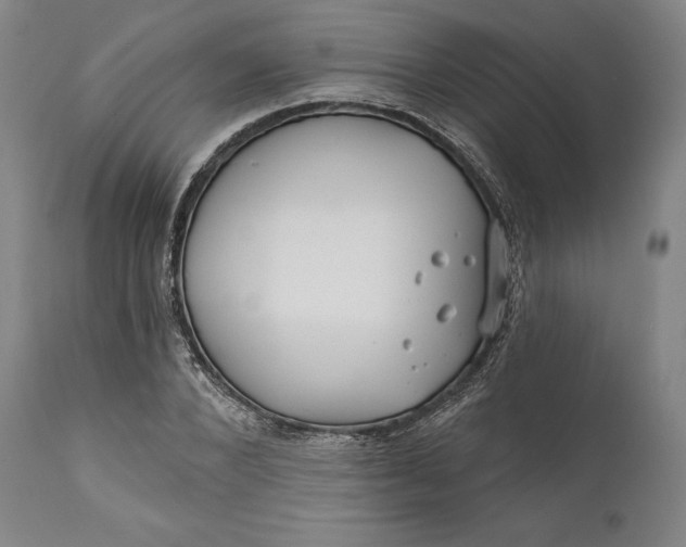 X0000111670880200908071455