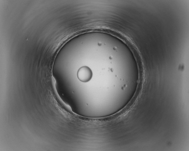 X0000111670881200908071455