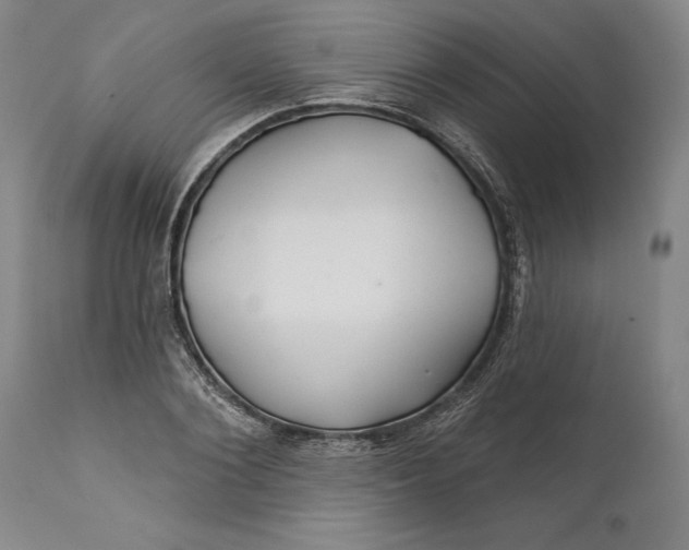 X0000111670884200908071454